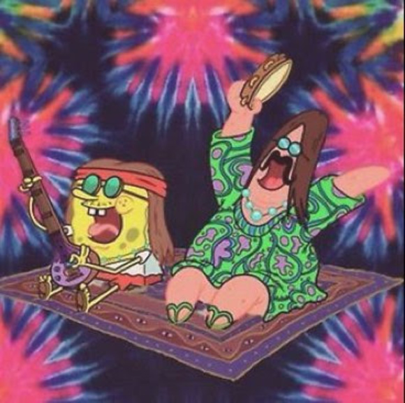 Meet your Posher, Addison - Picture 1 of 1